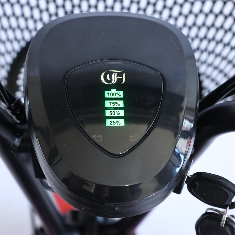 NEW Adult Tricycle Travel Pare - Folding Electric Scooter 评论和价格
